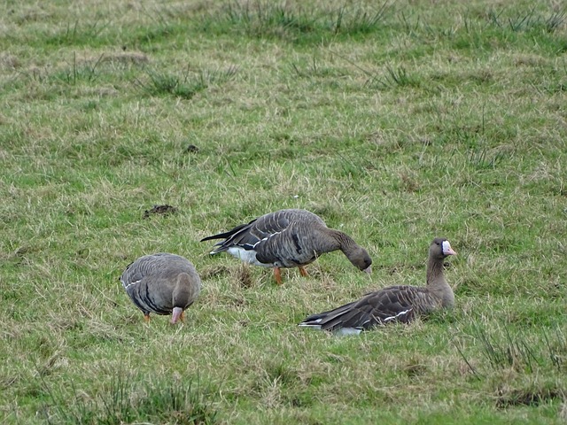 受力的斗争 受力的斗争