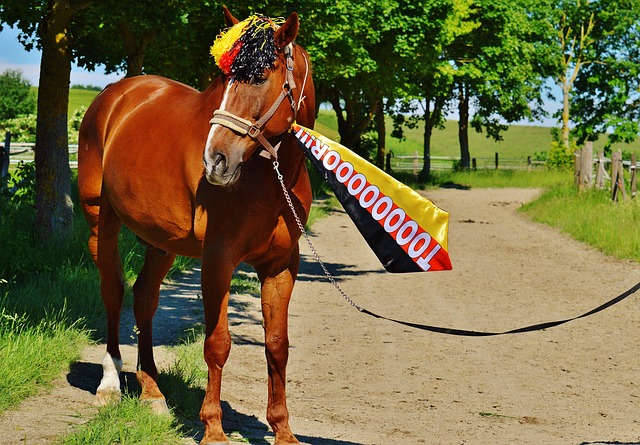 在无球状态 在无球状态