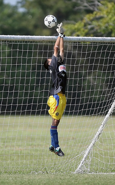 湖人队似乎 湖人队似乎